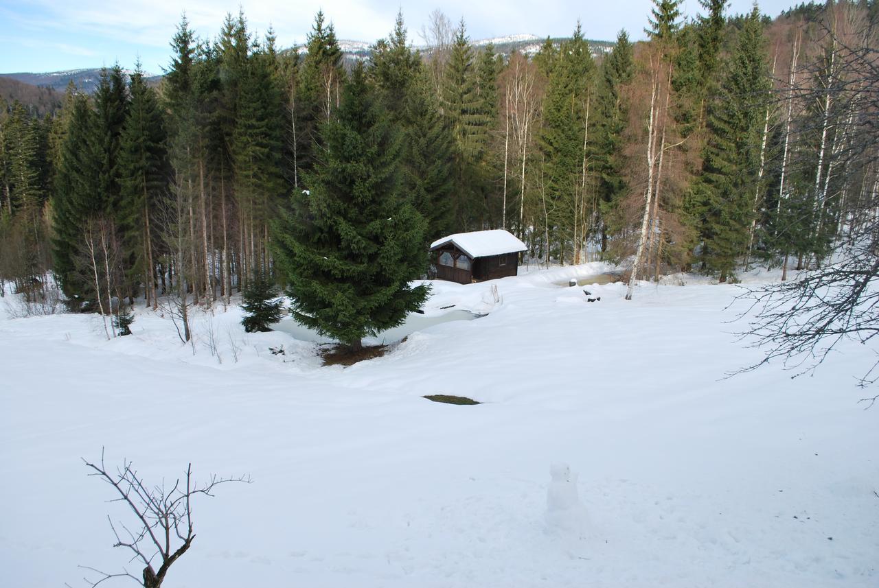 Ferienhaus "Lisa'S Haeusl" Neuschönau Kültér fotó