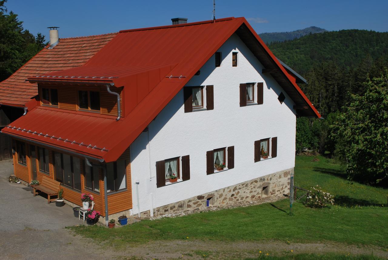 Ferienhaus "Lisa'S Haeusl" Neuschönau Kültér fotó