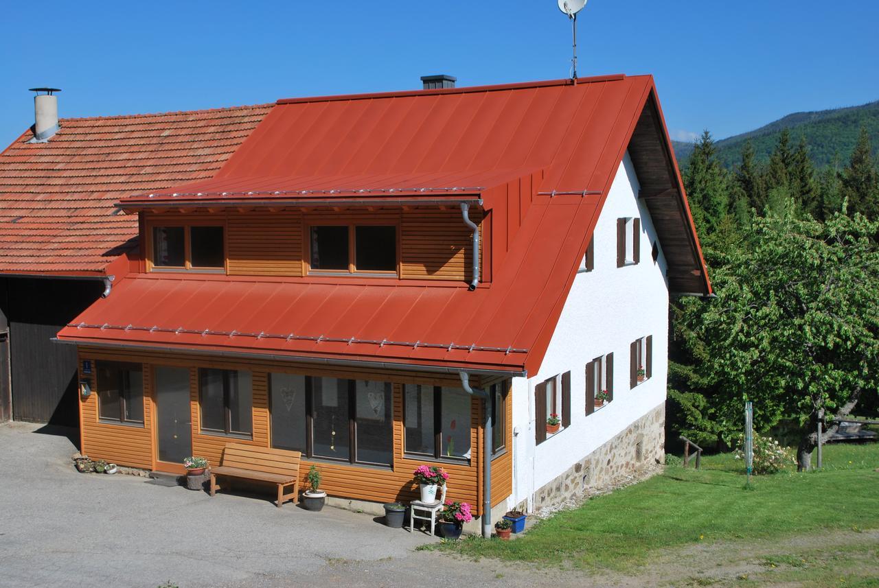 Ferienhaus "Lisa'S Haeusl" Neuschönau Kültér fotó